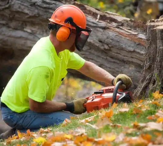 tree services Oshkosh